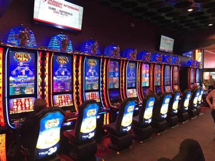 How much does Tulalip Casino make a year?
