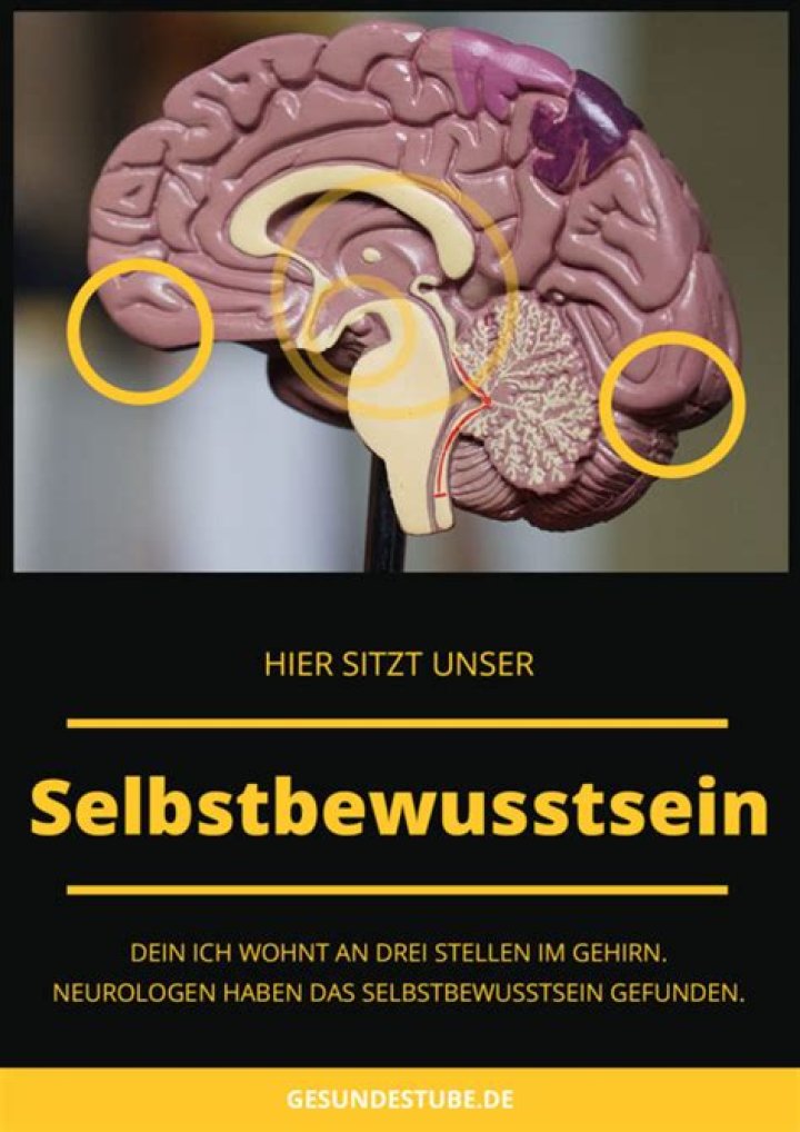 Ist das Bewusstsein im Gehirn?