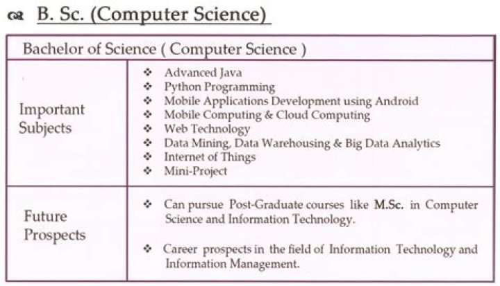 What is BSc computing?