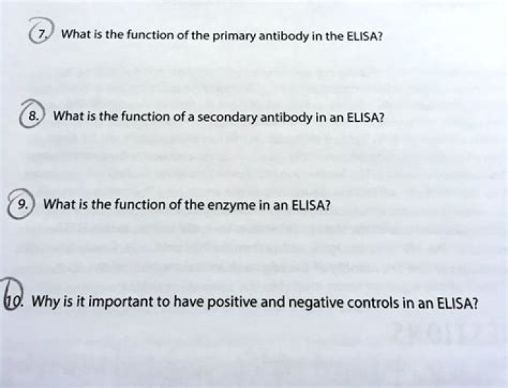 What is the function of the enzyme in an Elisa?