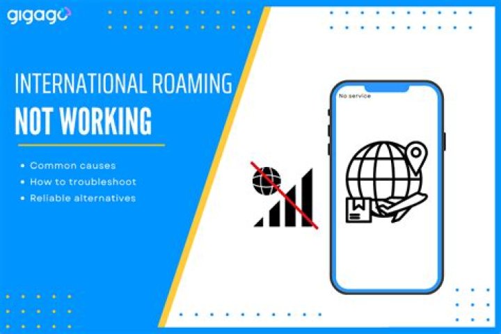 Why my Jio net is not working in roaming?
